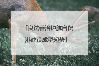 良法善治护航自贸港建设成型起势