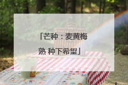 芒种：麦黄梅熟 种下希望