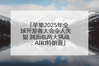 苹果2025年全球开发者大会令人失望 其面临两大挑战：AI和特朗普