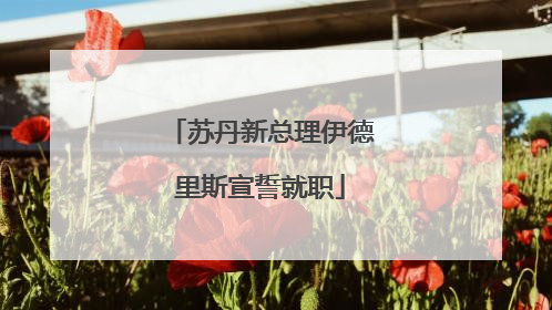 苏丹新总理伊德里斯宣誓就职