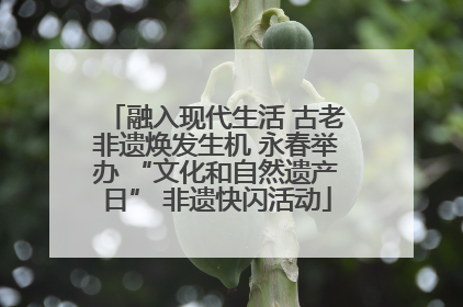 融入现代生活 古老非遗焕发生机 永春举办 “文化和自然遗产日” 非遗快闪活动