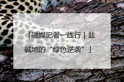 融媒记者一线行｜盐碱地的“绿色逆袭”
