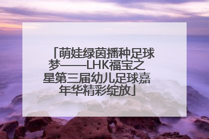 萌娃绿茵播种足球梦——LHK福宝之星第三届幼儿足球嘉年华精彩绽放