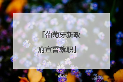 葡萄牙新政府宣誓就职