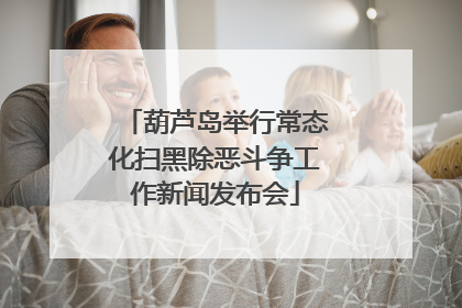 葫芦岛举行常态化扫黑除恶斗争工作新闻发布会
