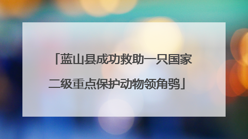蓝山县成功救助一只国家二级重点保护动物领角鸮