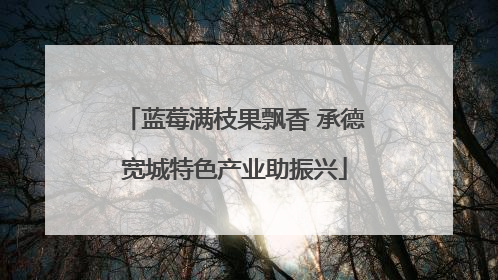 蓝莓满枝果飘香 承德宽城特色产业助振兴