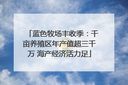 蓝色牧场丰收季：千亩养殖区年产值超三千万 海产经济活力足