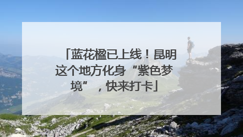 蓝花楹已上线！昆明这个地方化身“紫色梦境”，快来打卡