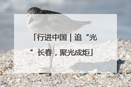 行进中国｜追“光”长春，聚光成炬