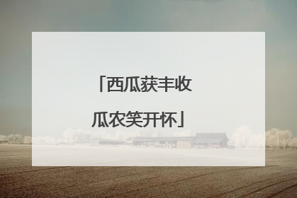 西瓜获丰收 瓜农笑开怀