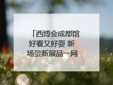 西博会成都馆好看又好耍 新场景新展品一网打尽“成都智造”｜西博视界