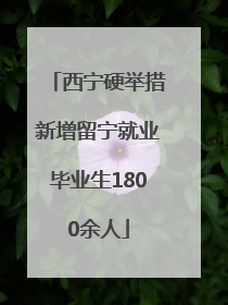 西宁硬举措新增留宁就业毕业生1800余人
