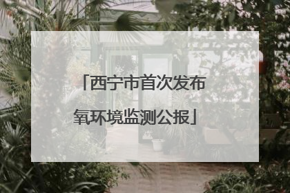 西宁市首次发布氧环境监测公报