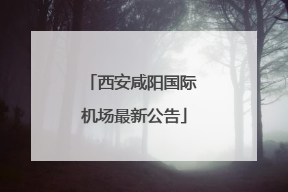 西安咸阳国际机场最新公告