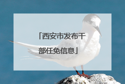西安市发布干部任免信息