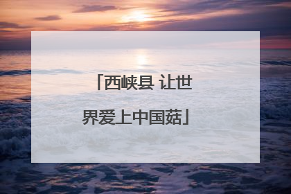 西峡县 让世界爱上中国菇