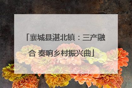 襄城县湛北镇：三产融合 奏响乡村振兴曲