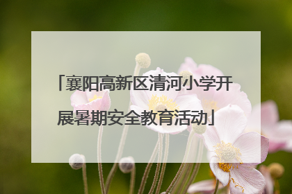 襄阳高新区清河小学开展暑期安全教育活动
