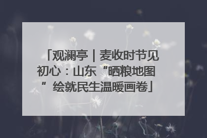 观澜亭｜麦收时节见初心：山东“晒粮地图”绘就民生温暖画卷