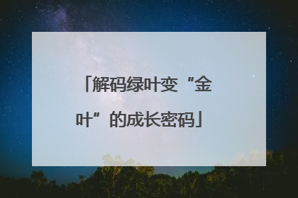 解码绿叶变“金叶”的成长密码