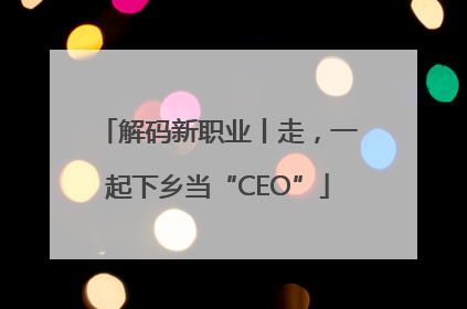 解码新职业丨走，一起下乡当“CEO”