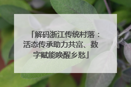 解码浙江传统村落：活态传承助力共富、数字赋能唤醒乡愁
