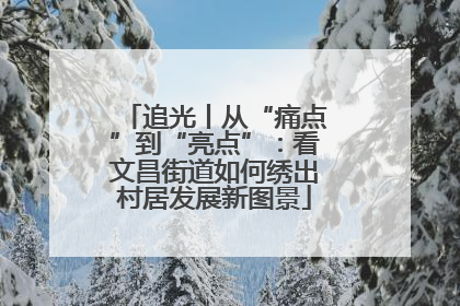 追光丨从“痛点”到“亮点”：看文昌街道如何绣出村居发展新图景