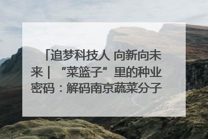 追梦科技人 向新向未来｜“菜篮子”里的种业密码：解码南京蔬菜分子育种的创新之路