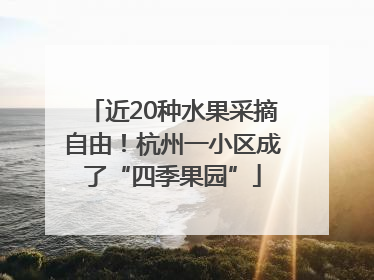 近20种水果采摘自由！杭州一小区成了“四季果园”