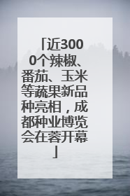 近3000个辣椒、番茄、玉米等蔬果新品种亮相，成都种业博览会在蓉开幕
