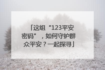 这组“123平安密码”，如何守护群众平安？一起探寻