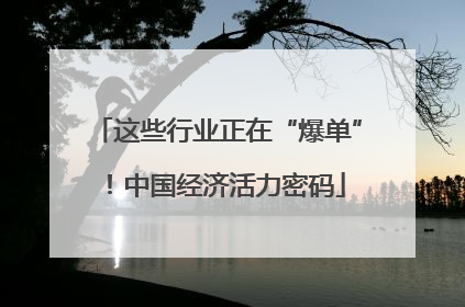 这些行业正在“爆单”！中国经济活力密码