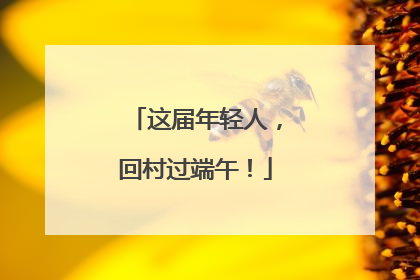 这届年轻人，回村过端午！
