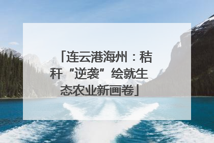连云港海州：秸秆“逆袭”绘就生态农业新画卷