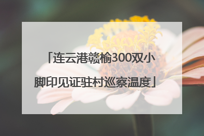 连云港赣榆300双小脚印见证驻村巡察温度