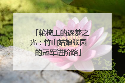 轮椅上的逐梦之光：竹山姑娘张园的冠军进阶路