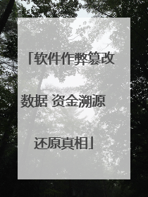 软件作弊篡改数据 资金溯源还原真相
