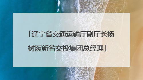 辽宁省交通运输厅副厅长杨树履新省交投集团总经理