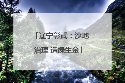 辽宁彰武：沙地治理 造绿生金