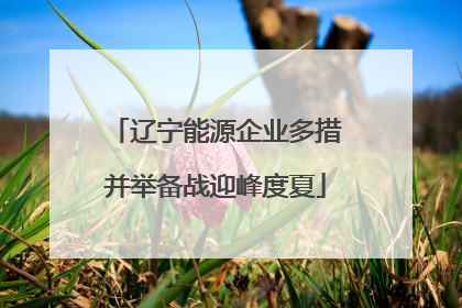 辽宁能源企业多措并举备战迎峰度夏