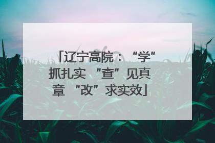 辽宁高院：“学”抓扎实 “查”见真章 “改”求实效