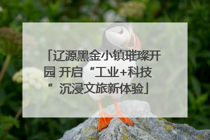辽源黑金小镇璀璨开园 开启“工业+科技”沉浸文旅新体验