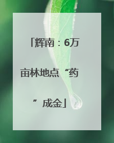 辉南：6万亩林地点“药”成金