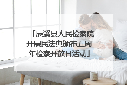 辰溪县人民检察院开展民法典颁布五周年检察开放日活动