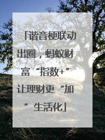 谐音梗联动出圈，蚂蚁财富“指数+”让理财更“加”生活化