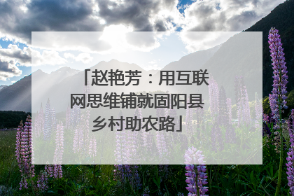赵艳芳：用互联网思维铺就固阳县乡村助农路