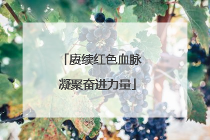 赓续红色血脉 凝聚奋进力量