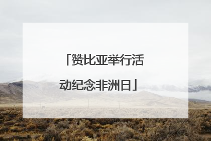 赞比亚举行活动纪念非洲日