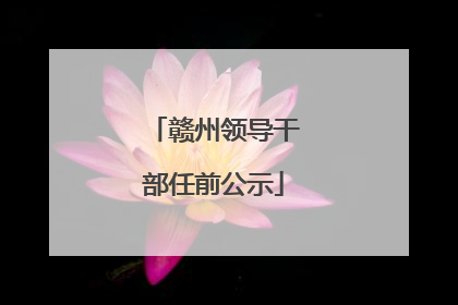 赣州领导干部任前公示
